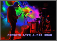 Caproid Video
